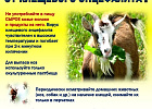 Клещевой энцефалит через козье молоко,  не миф, а реальность