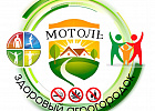 Проект "Мотоль-здоровый агрогородок"