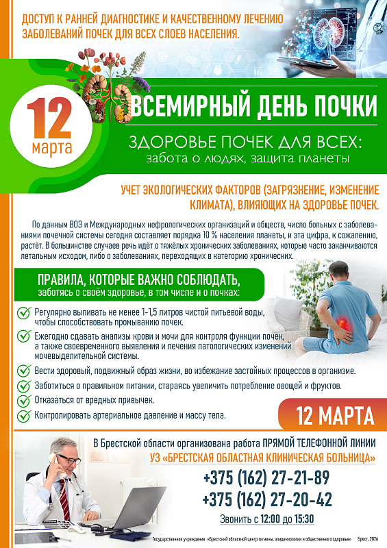 Профилактика заболеваний почек